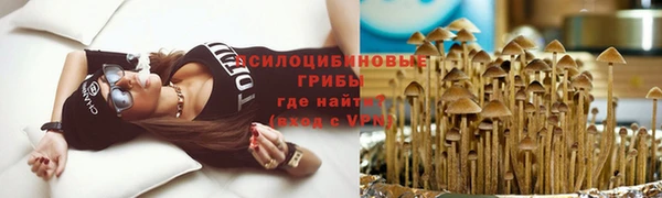ГАЛЛЮЦИНОГЕННЫЕ ГРИБЫ Волоколамск