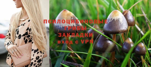 не бодяженный Володарск