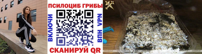 Псилоцибиновые грибы Magic Shrooms  Купить где  Артёмовск 